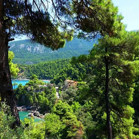 In Seas' Embrace Tatil Evi